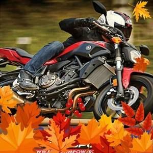 Meet your Posher, Efrain